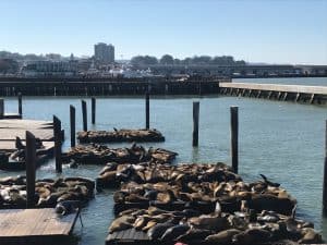 Fishermans Wharf