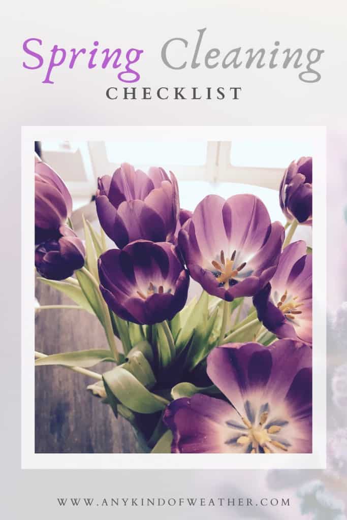 Spring Cleaning Checklist