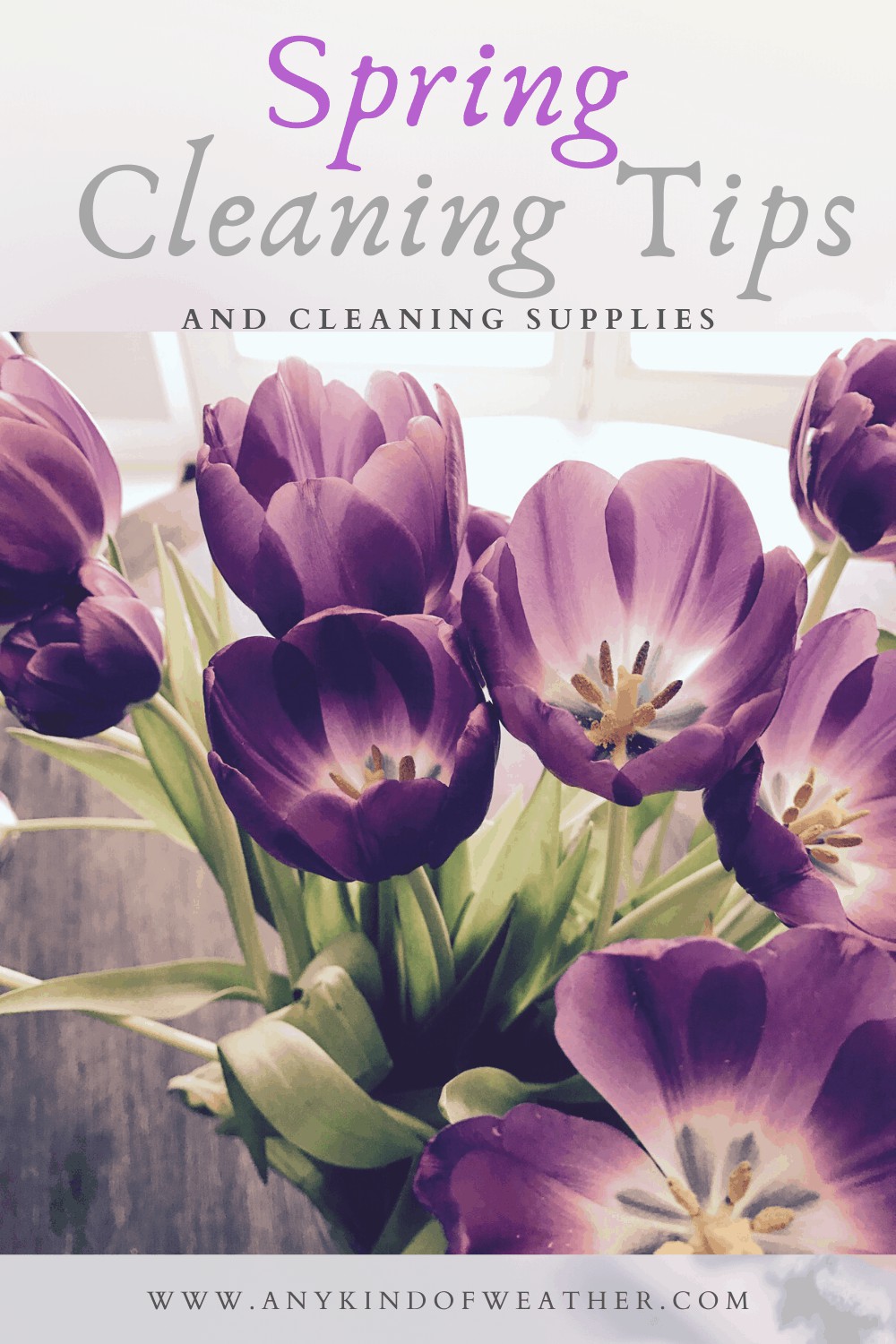 Spring Cleaning Tips