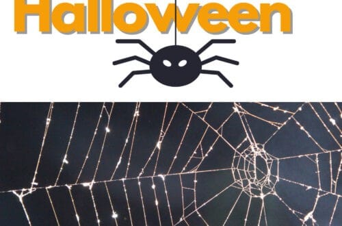 13 Ways to Celebrate Halloween when you can't Trick or Treat